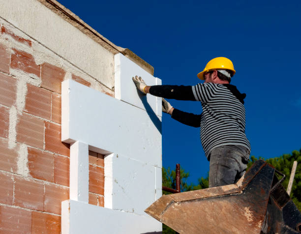 Best Commercial Insulation in Sycamore, GA