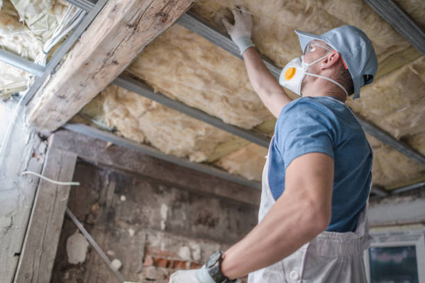 Best Geographic-Specific Insulation Services in Sycamore, GA