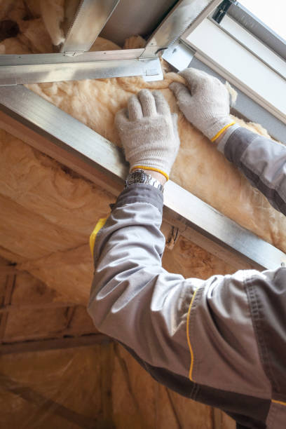 Best Blown-in Insulation in Sycamore, GA