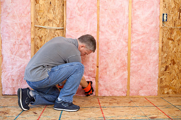 Best Insulation Maintenance and Repair in Sycamore, GA