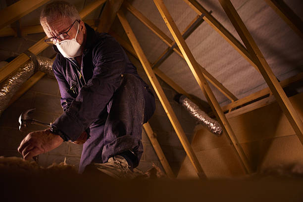 Best Spray Foam Insulation in Sycamore, GA